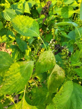 유경임님의 자유주제 · 자유게시판 작성글 사진