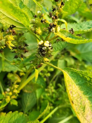 유경임님의 자유주제 · 자유게시판 작성글 사진