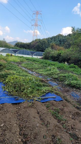 경기고양휘파람농장님의 자유주제 · 자유게시판 작성글 사진