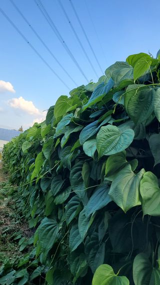 경기고양휘파람농장님의 자유주제 · 자유게시판 작성글 사진