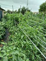 팜모닝 자유주제·자유게시판 게시글 이미지