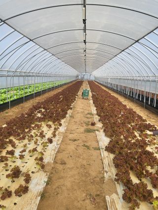 엄마와딸농장님의 자유주제 · 자유게시판 작성글 사진