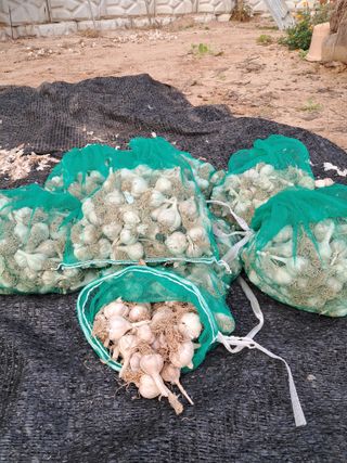 규수김님의 자유주제 · 자유게시판 작성글 사진