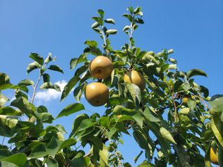 νμ λμ (μ΄μν)λμ μμ±κΈ μ¬μ§