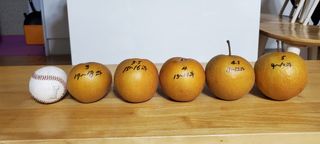 νμ λμ (μ΄μν)λμ μμ±κΈ μ¬μ§