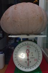 팜모닝 자유주제·자유게시판 게시글 이미지