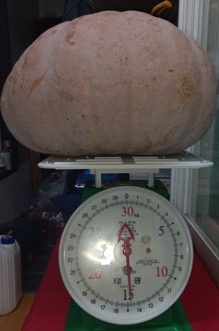 무진장UDT님의 자유주제 · 자유게시판 작성글 사진