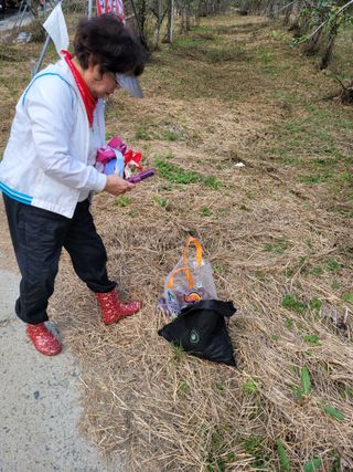 홍가네수정농장님의 기타작물 · 영농일지 작성글 사진
