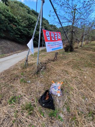 홍가네수정농장님의 기타작물 · 영농일지 작성글 사진