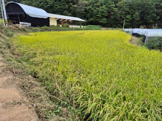 황석근님의 자유주제 · 자유게시판 작성글 사진