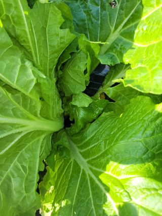 이숙란님의 자유주제 · 자유게시판 작성글 사진