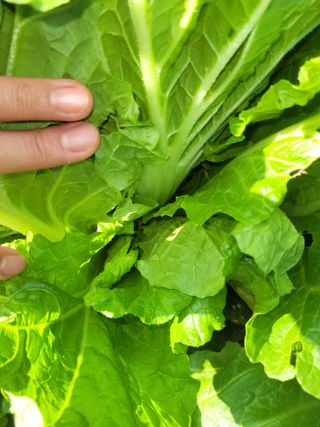 이숙란님의 자유주제 · 자유게시판 작성글 사진