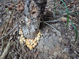 블루베리17899님의 자유주제 · 자유게시판 작성글 사진