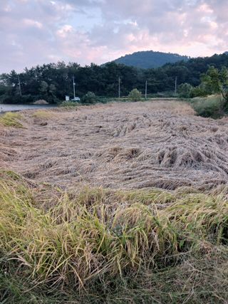 이동재님의 자유주제 · 자유게시판 작성글 사진