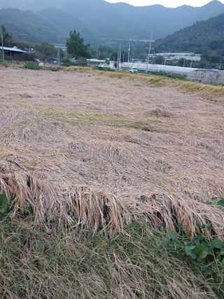 이동재님의 자유주제 · 자유게시판 작성글 사진