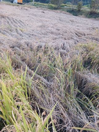 이동재님의 자유주제 · 자유게시판 작성글 사진