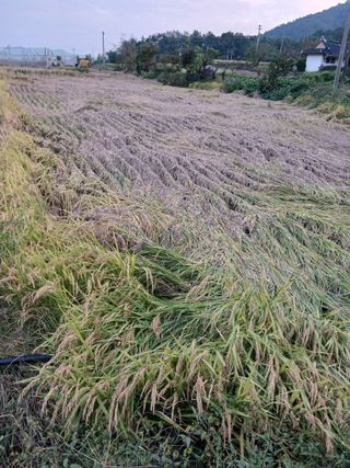 이동재님의 자유주제 · 자유게시판 작성글 사진