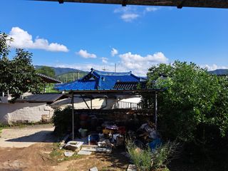 소와나무꾼님의 고추 · 일상 작성글 사진