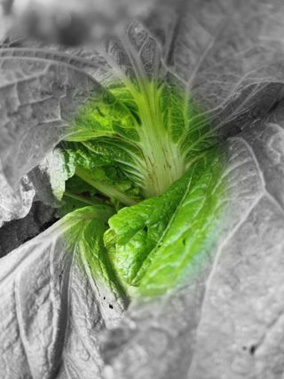 한성주님의 자유주제 · 사진전 작성글 사진