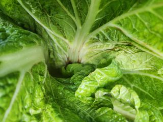 한성주님의 자유주제 · 사진전 작성글 사진