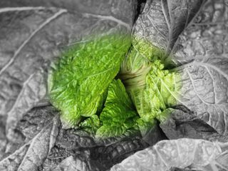 한성주님의 자유주제 · 사진전 작성글 사진