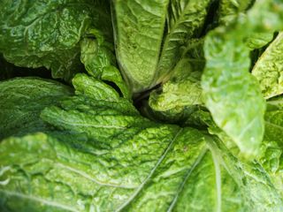 한성주님의 자유주제 · 사진전 작성글 사진