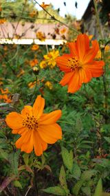 팜모닝 [팜춘문예] 짧은 시 쓰기| 2024·참여글 게시글 이미지