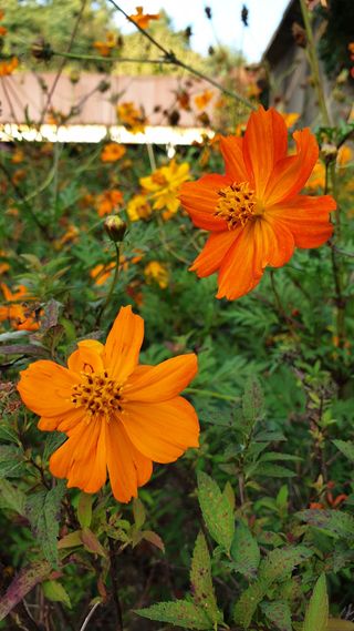 이경영 님의 [팜춘문예] 짧은 시 쓰기| 2024 · 참여글 작성글 사진