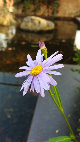 이경영 님의 [팜춘문예] 짧은 시 쓰기| 2024 · 참여글 작성글 사진