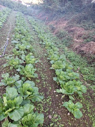 수기님의 자유주제 · 자유게시판 작성글 사진