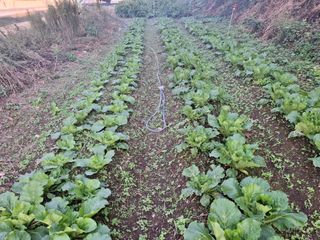 수기님의 자유주제 · 자유게시판 작성글 사진