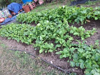 수기님의 자유주제 · 자유게시판 작성글 사진