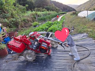 수기님의 자유주제 · 자유게시판 작성글 사진