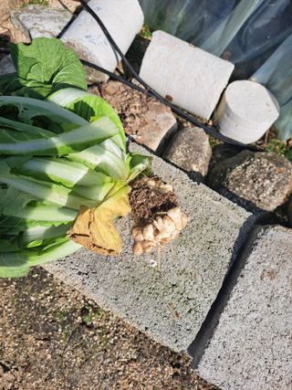 박소원님의 자유주제 · 자유게시판 작성글 사진