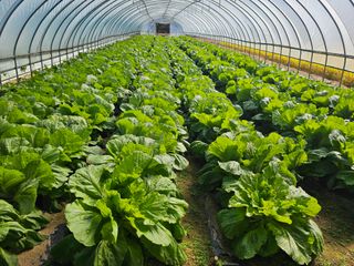 박소원님의 자유주제 · 자유게시판 작성글 사진