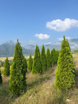신강식님의 자유주제 · 자유게시판 작성글 사진
