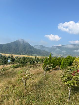신강식님의 자유주제 · 자유게시판 작성글 사진