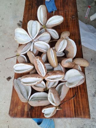 규수김님의 자유주제 · 자유게시판 작성글 사진