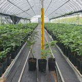 팜모닝 자유주제·자유게시판 게시글 이미지