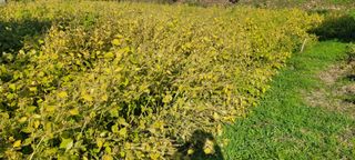 가루개님의 자유주제 · 자유게시판 작성글 사진