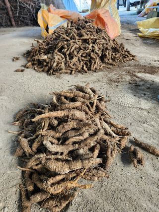 윤미선(농경채인증님의 작성글 사진