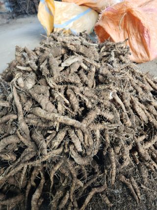 윤미선(농경채인증님의 작성글 사진