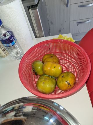 이대팔님의 감 · 영농일지 작성글 사진