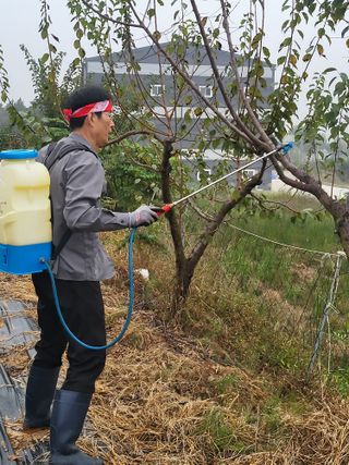 안종※님의 들깨 · 영농일지 작성글 사진