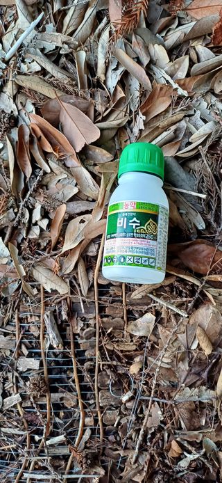 보물섬남자님의 귤 · 영농일지 작성글 사진