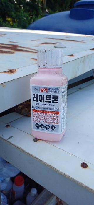 보물섬남자님의 귤 · 영농일지 작성글 사진