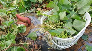 이서구님의 자유주제 · 자유게시판 작성글 사진