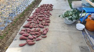 이서구님의 자유주제 · 자유게시판 작성글 사진