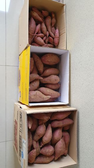 이서구님의 자유주제 · 자유게시판 작성글 사진