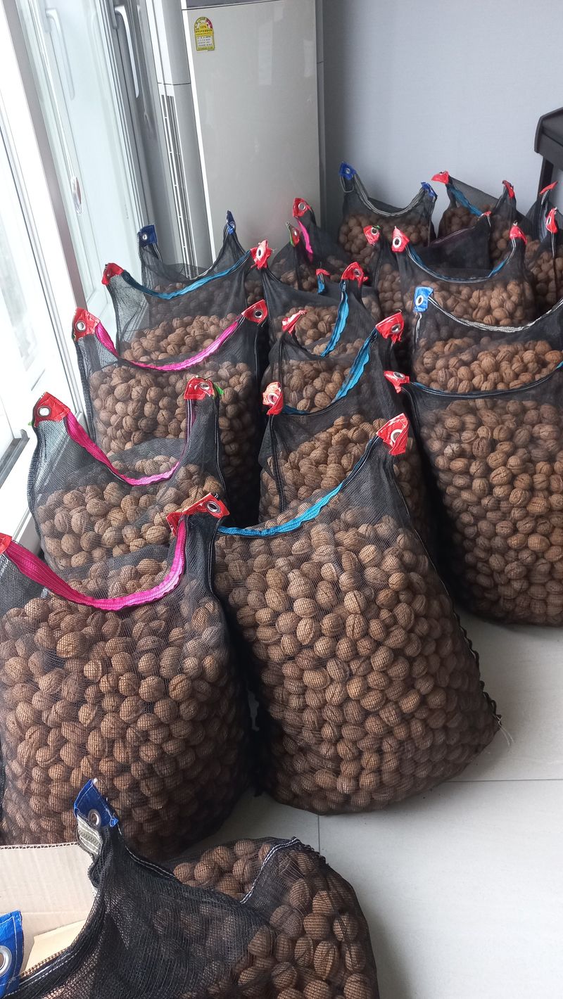 김노형님의 장터 판매 상품 [호두 1kg] 첨부 사진